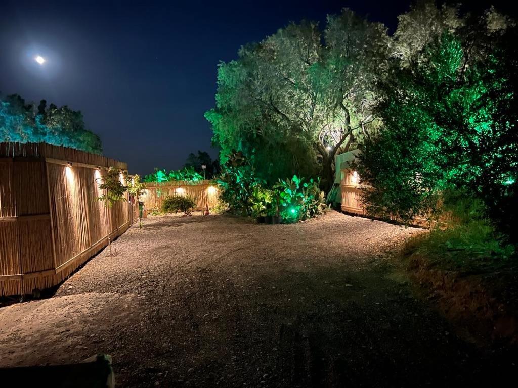 Nikkon Luxury Living Villa Arvi  Eksteriør billede