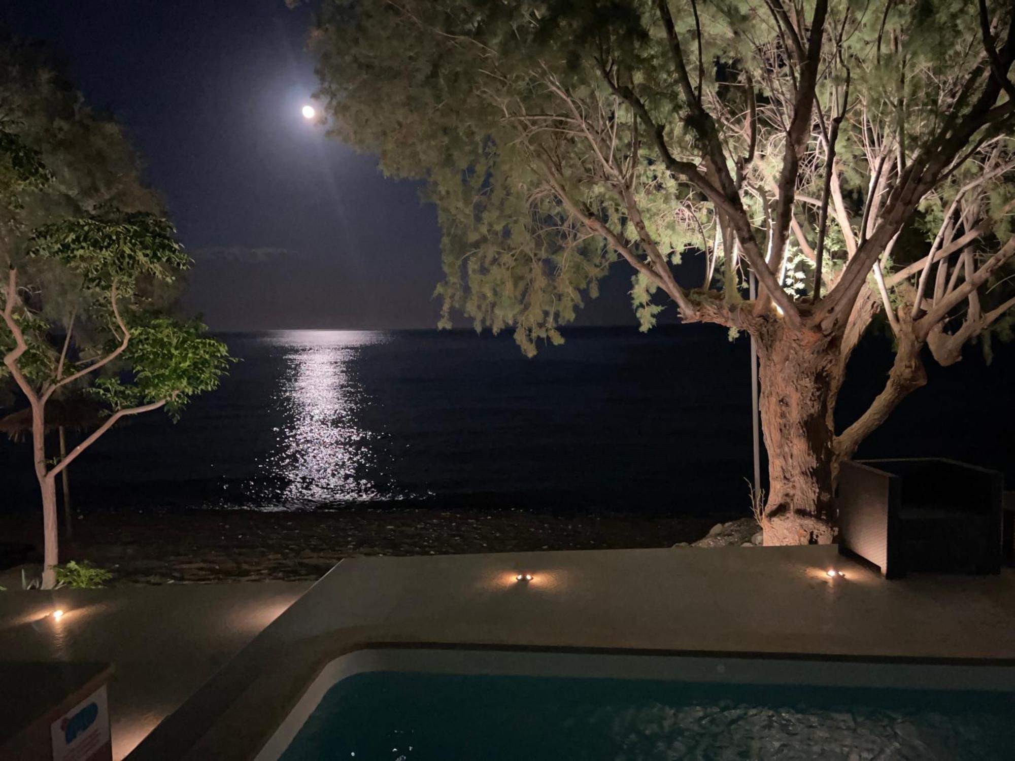 Nikkon Luxury Living Villa Arvi  Eksteriør billede